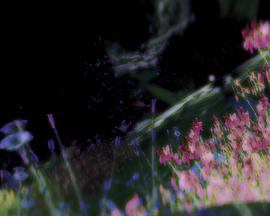 Can Someone Meet Me In Dark Alley?