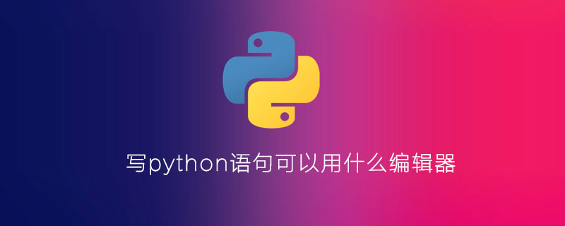 我可以使用什么编辑器来编写 python 语句