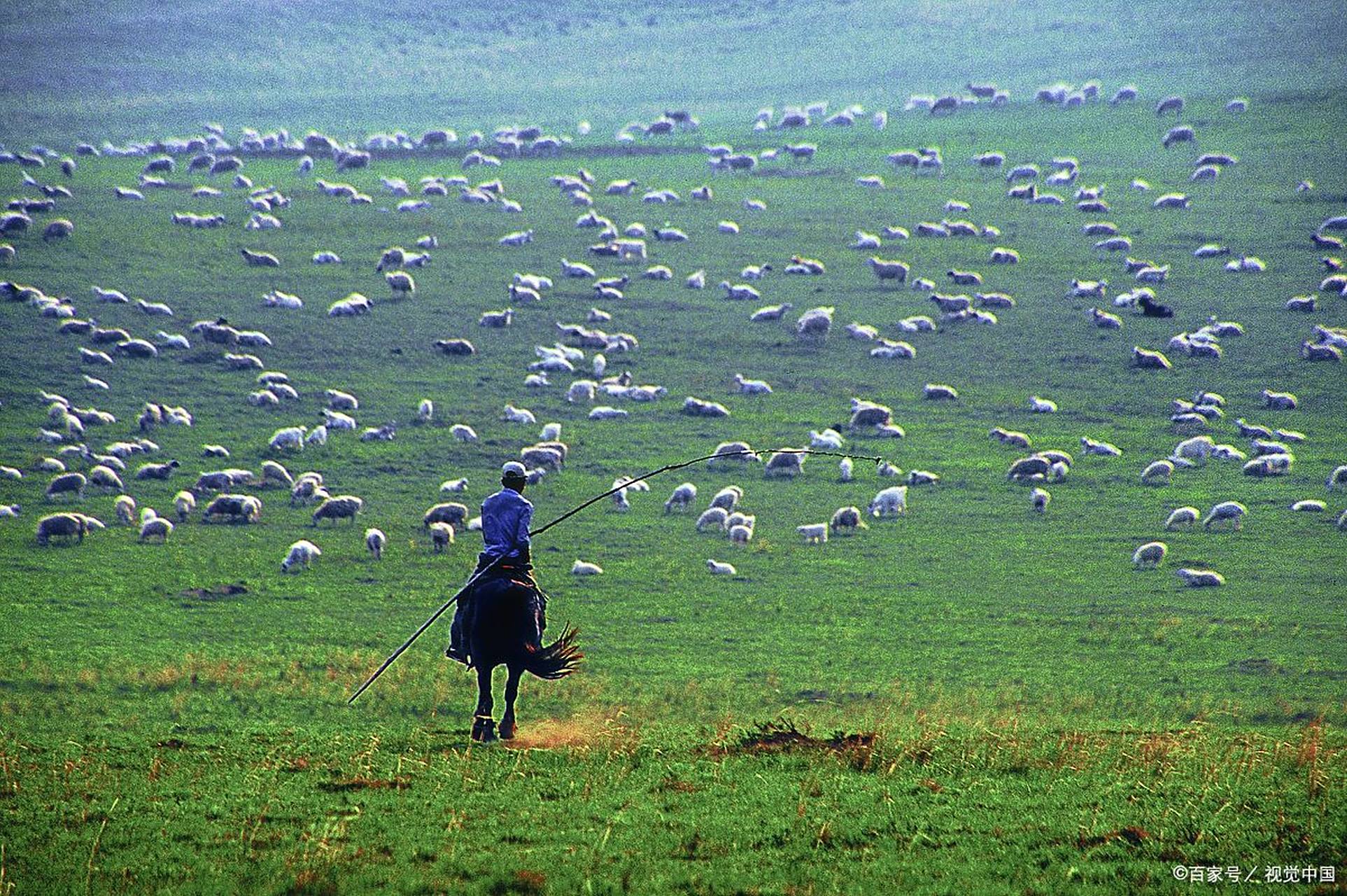 【典故浅谈】"歧路亡羊"并不是"亡羊补牢"的前传,也不是其续篇,虽然