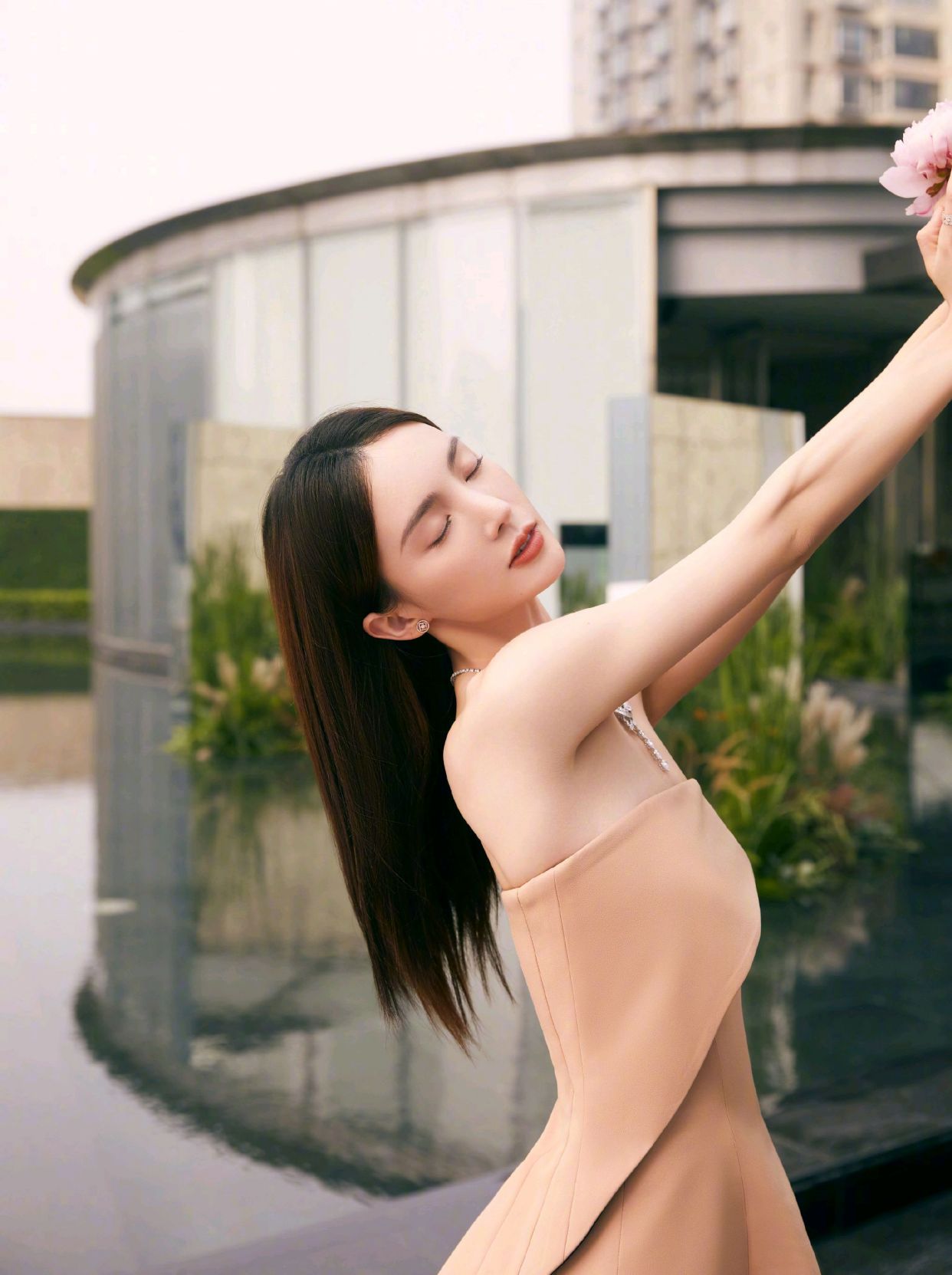 明星写真美图|金晨