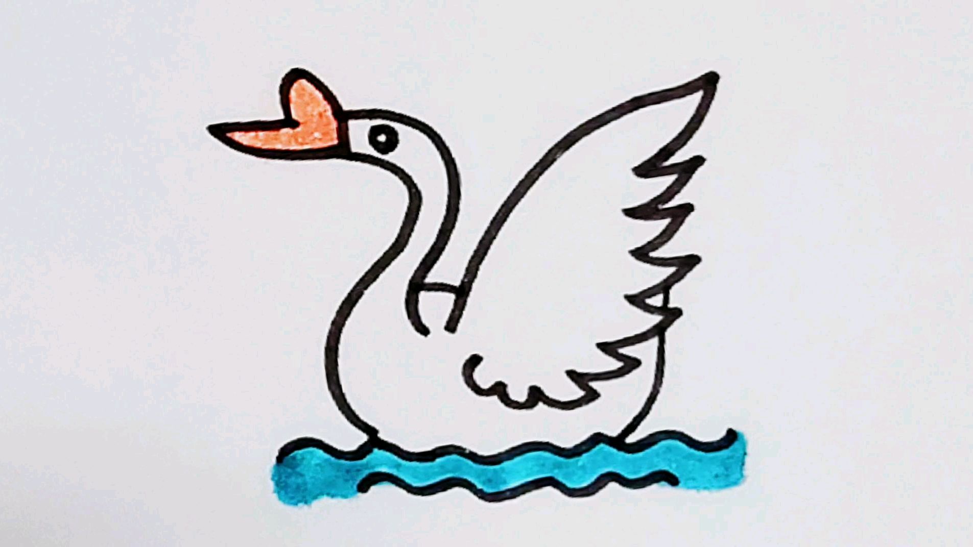 白天鹅的简单画法