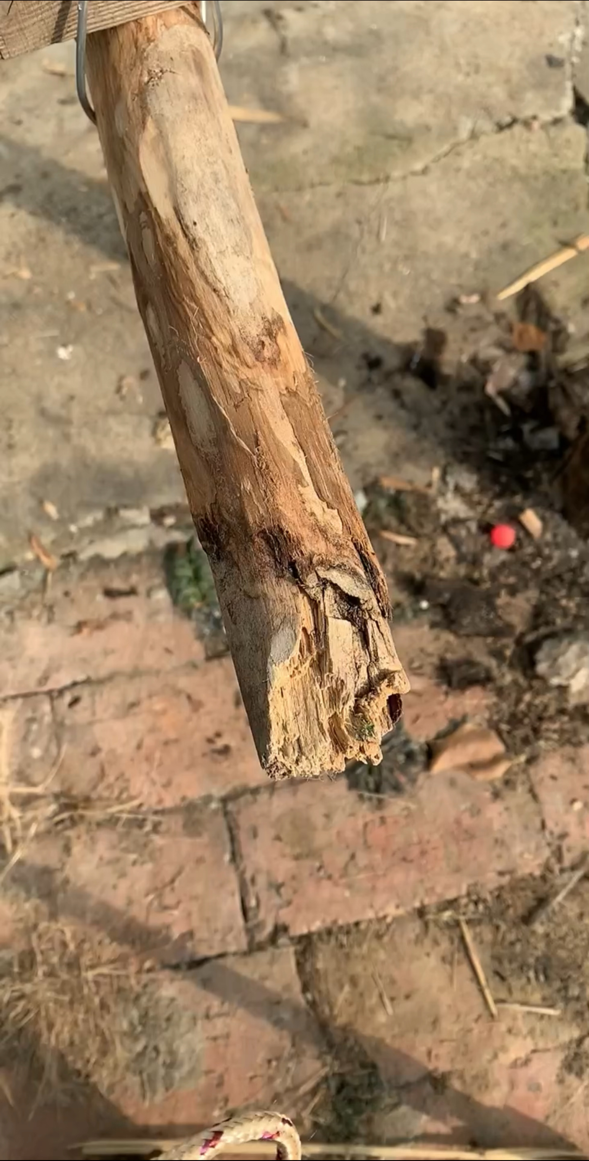 园林拖木结系列之一
