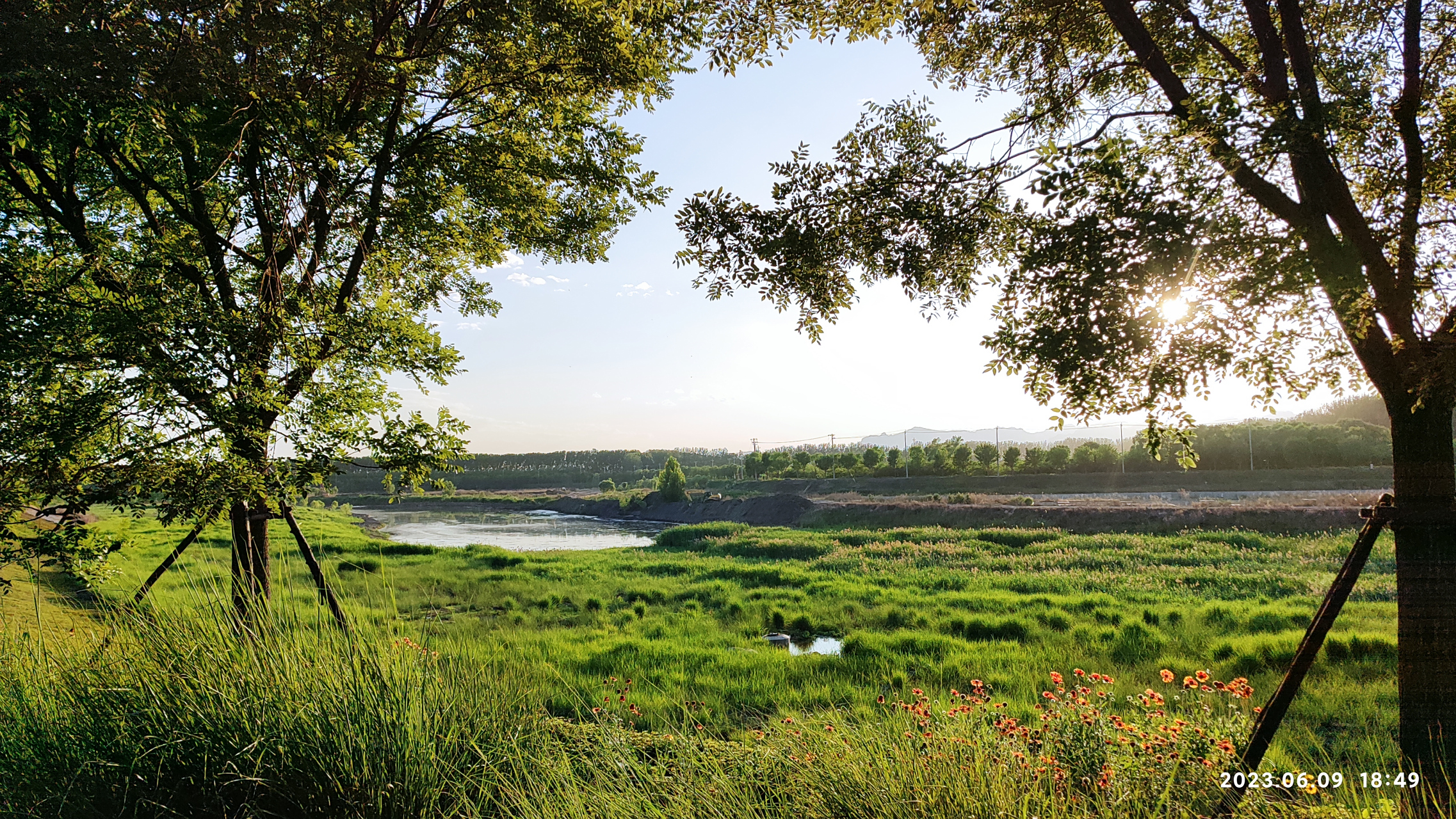 今天傍晚来琉璃河湿地公园散步真不错,这里植物很茂盛,空气很新鲜.