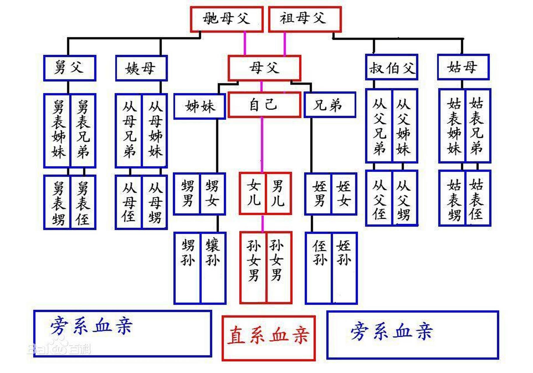 古代家庭关系称谓 1,父母的称呼: 父母同称高堂,椿萱,双亲,膝下.