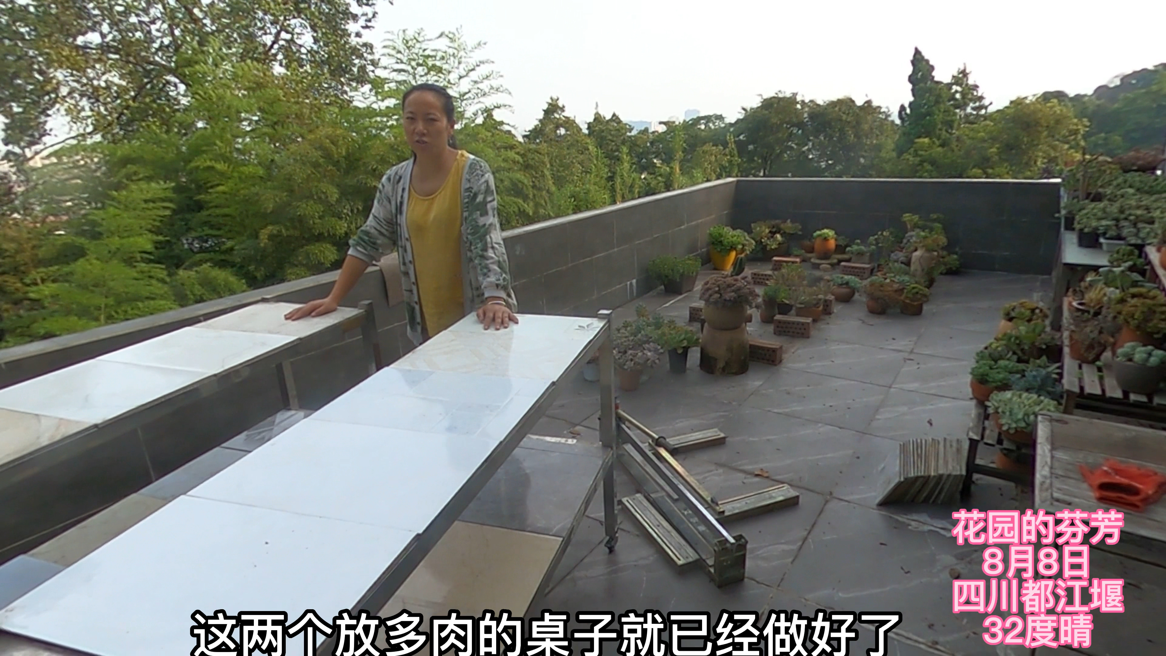 没钱买多肉花架,那就改造2个吧!耐用它还可以自己走路