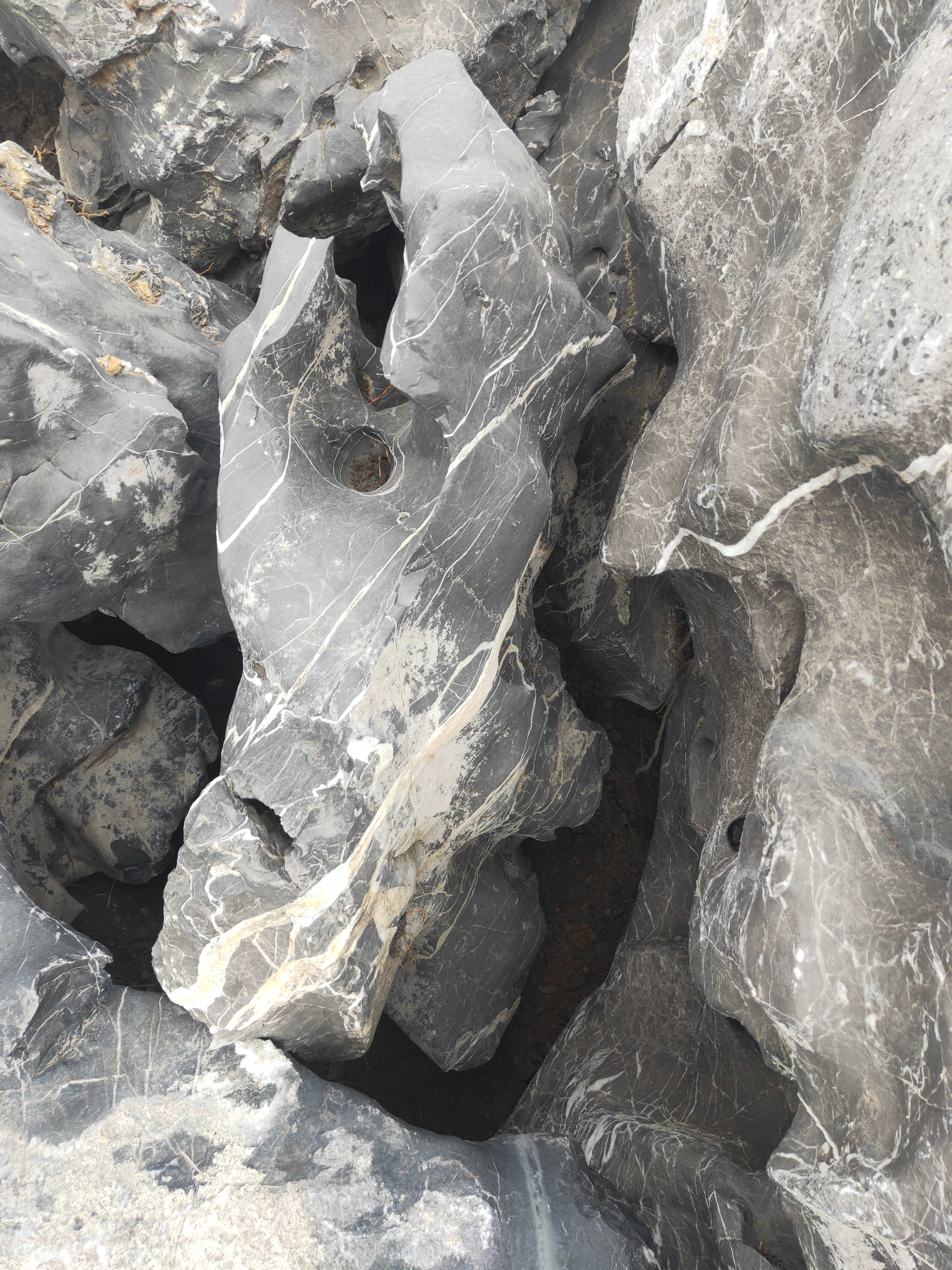 广东英德石太湖石在园林庭院的魅力,值得点赞