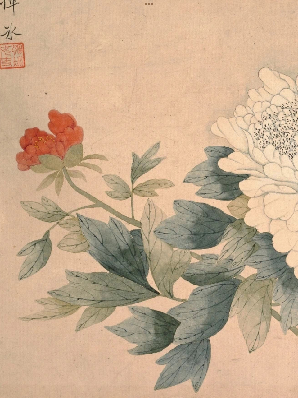 清 恽冰 牡丹图  绢本设色 34.3×31.1cm 676767 #绘画欣赏