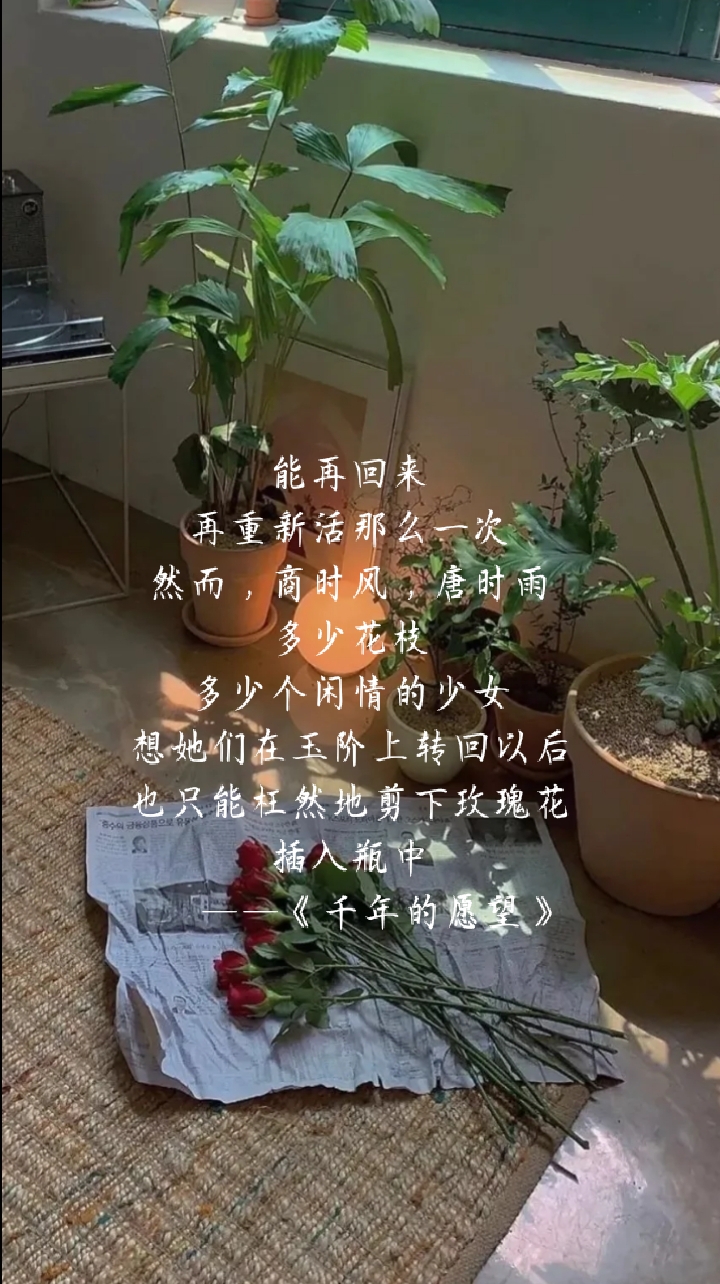 八首優美的現代短詩,總有一句會觸動你的心