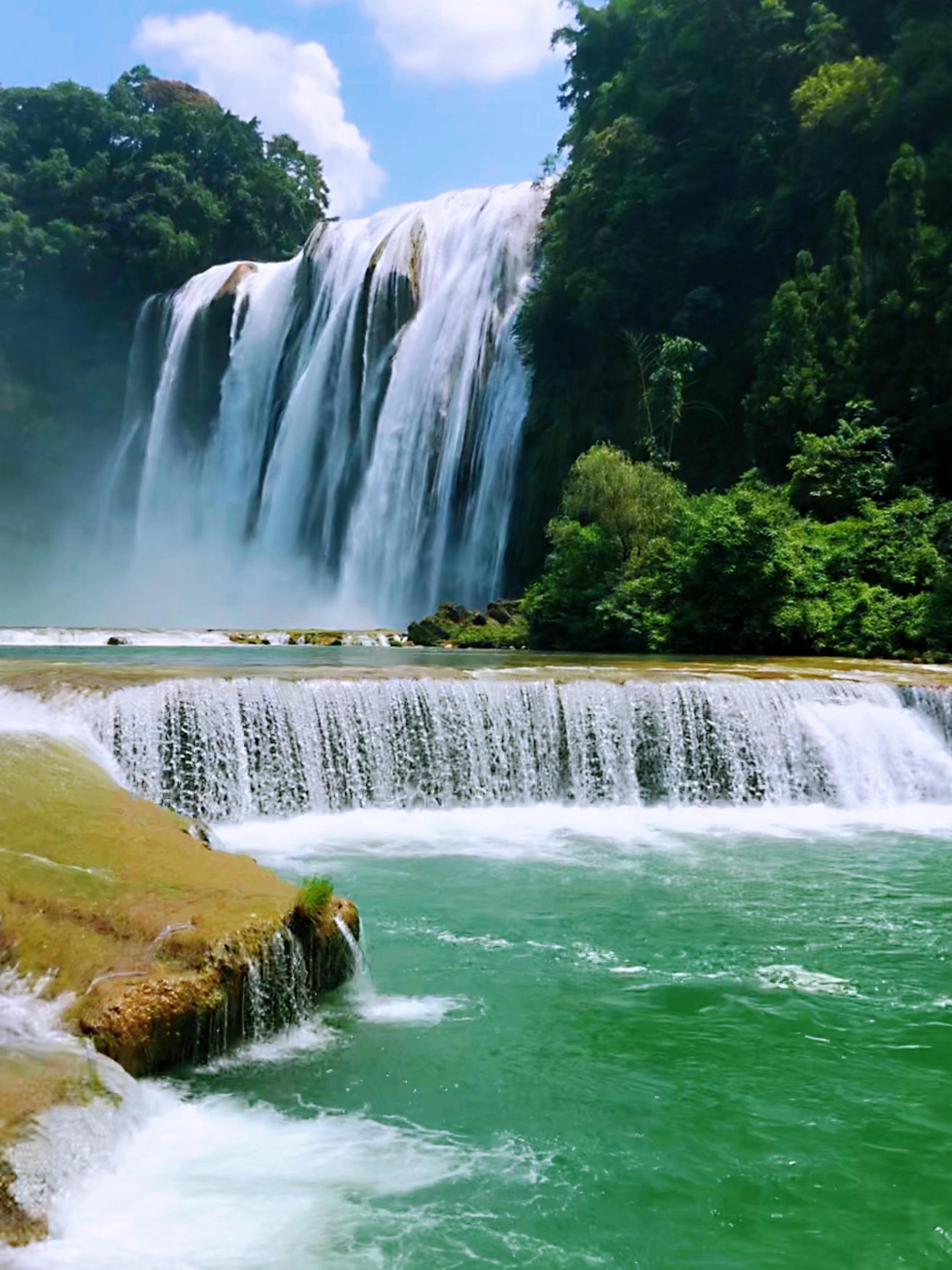 山高水长-作者陈林