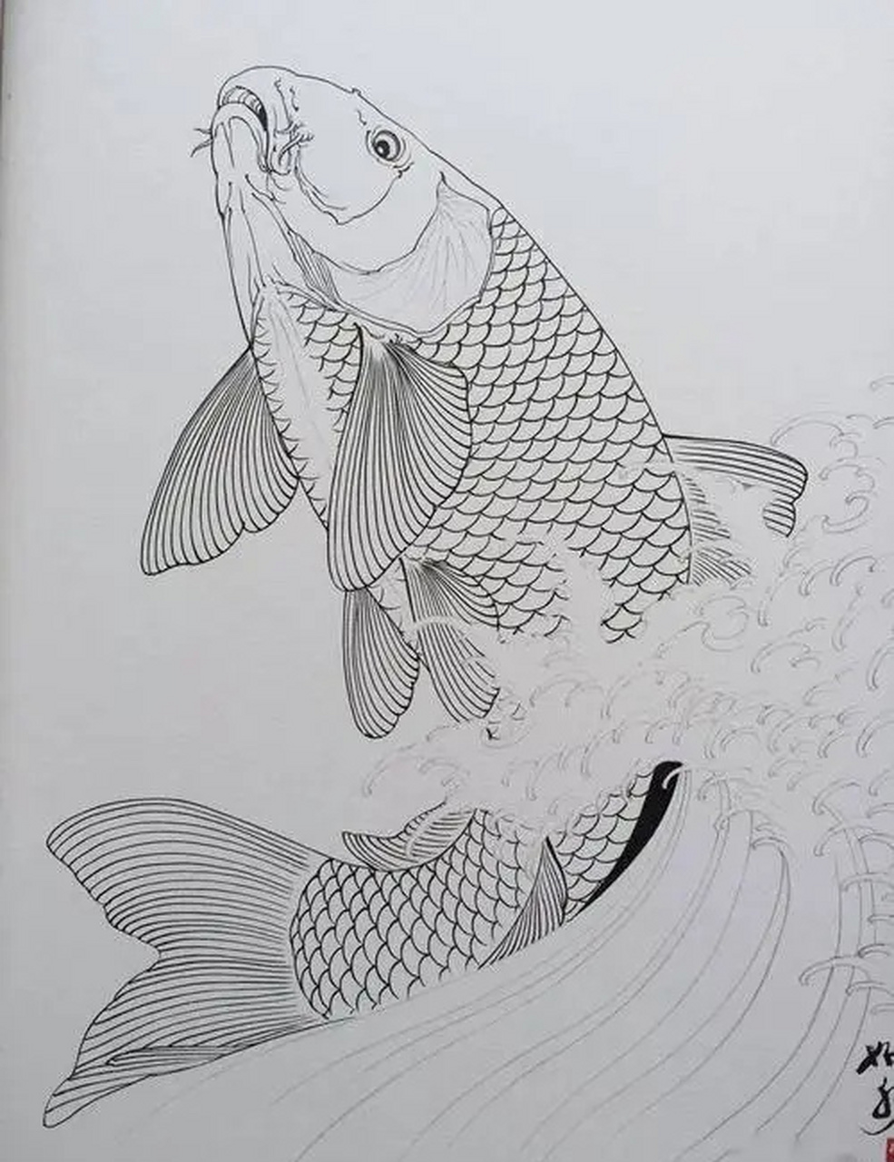 【白描国画锦鲤绘画素材参考】#国画