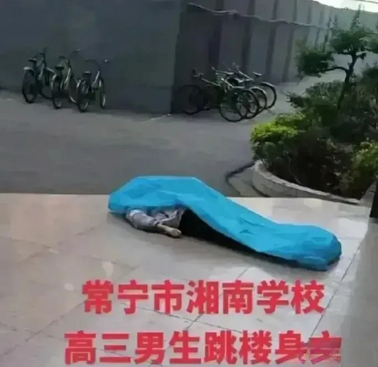 实验中学学生死亡图片