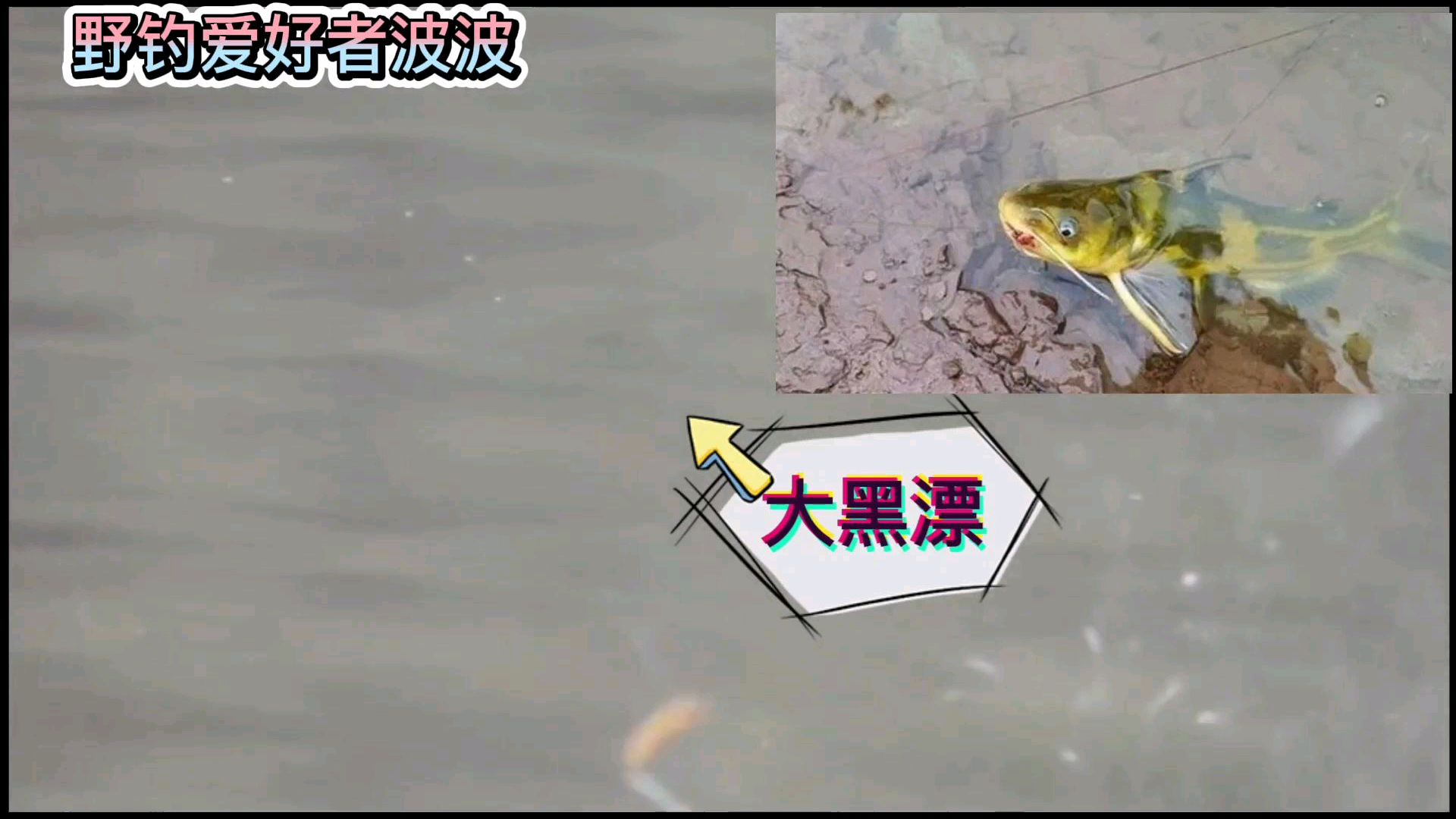 夏天垂钓黄骨鱼,牢记5宜5不宜,新手也能爆护!