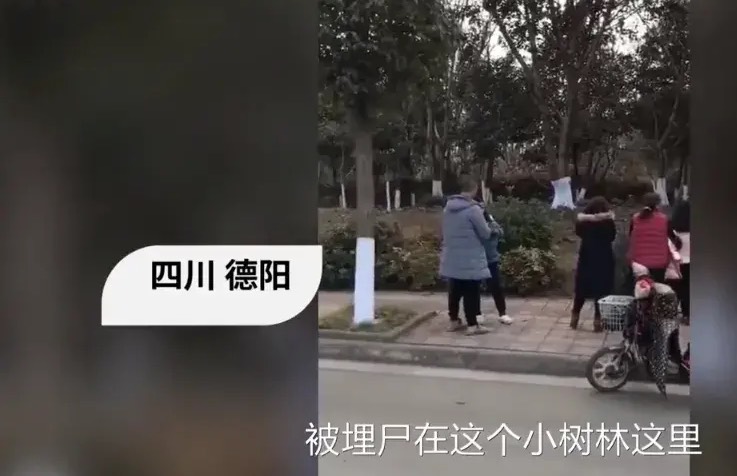 详细了解四川德阳,19岁女孩驾校练车失踪事件