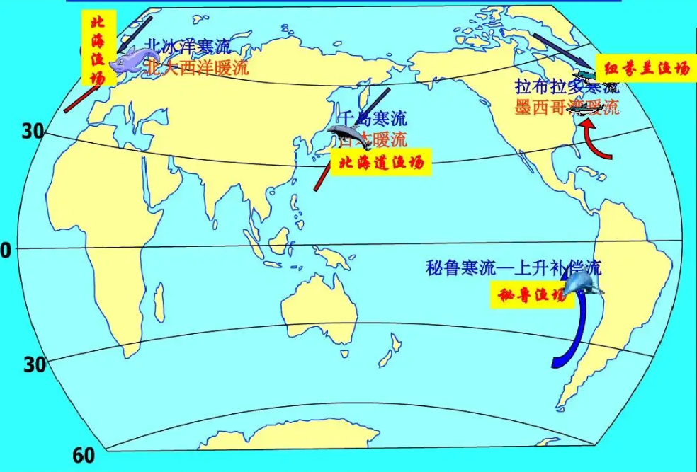 地理100個小知識分享——世界四大漁場的分佈和形成原因