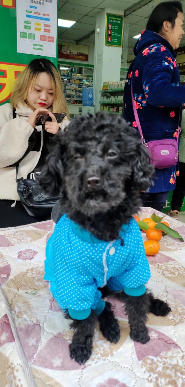 藐视一切的眼神