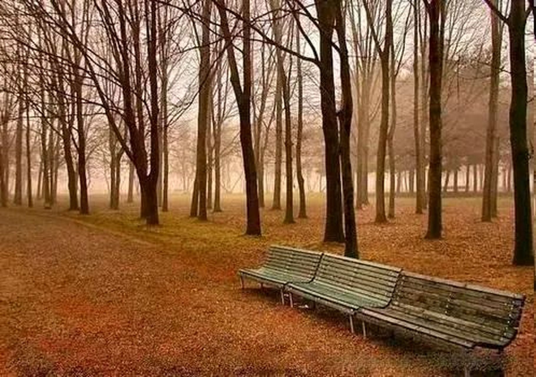 当一个人对婚外情有起心动念时, 他就是变心了,他就是不爱对方了