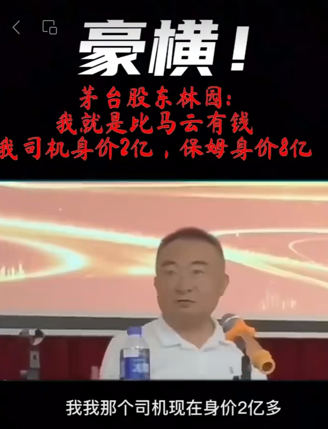 有一天,茅台股东林园和马云在一起喝酒