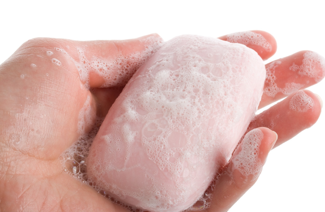 九成人不知道蚊子天敌是啥1个笨法子整夜开窗也不怕