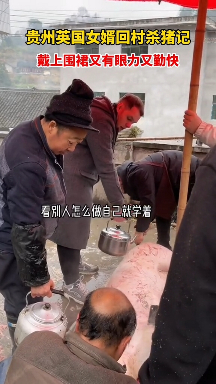 英国女婿回村杀猪,围裙一带感觉就来了 贵州的英国女婿被带回村一起