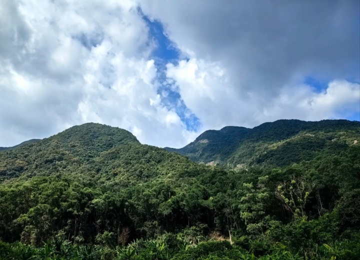 东莞银瓶山森林公园 自然之美