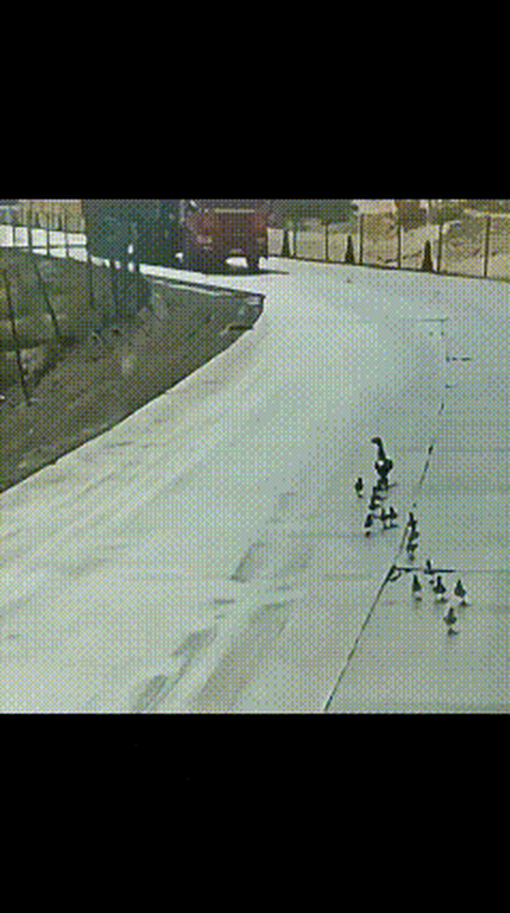 毫无疑问,这肯定是爸爸带孩子!