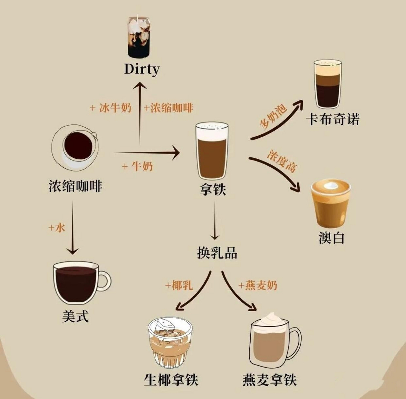 咖啡的分类,扫盲用的  