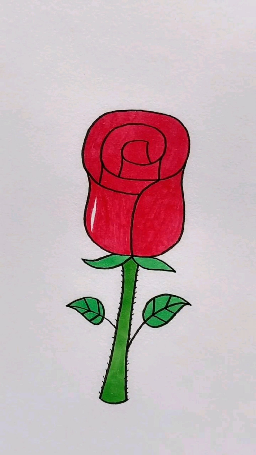 三八妇女节,教你简笔画玫瑰