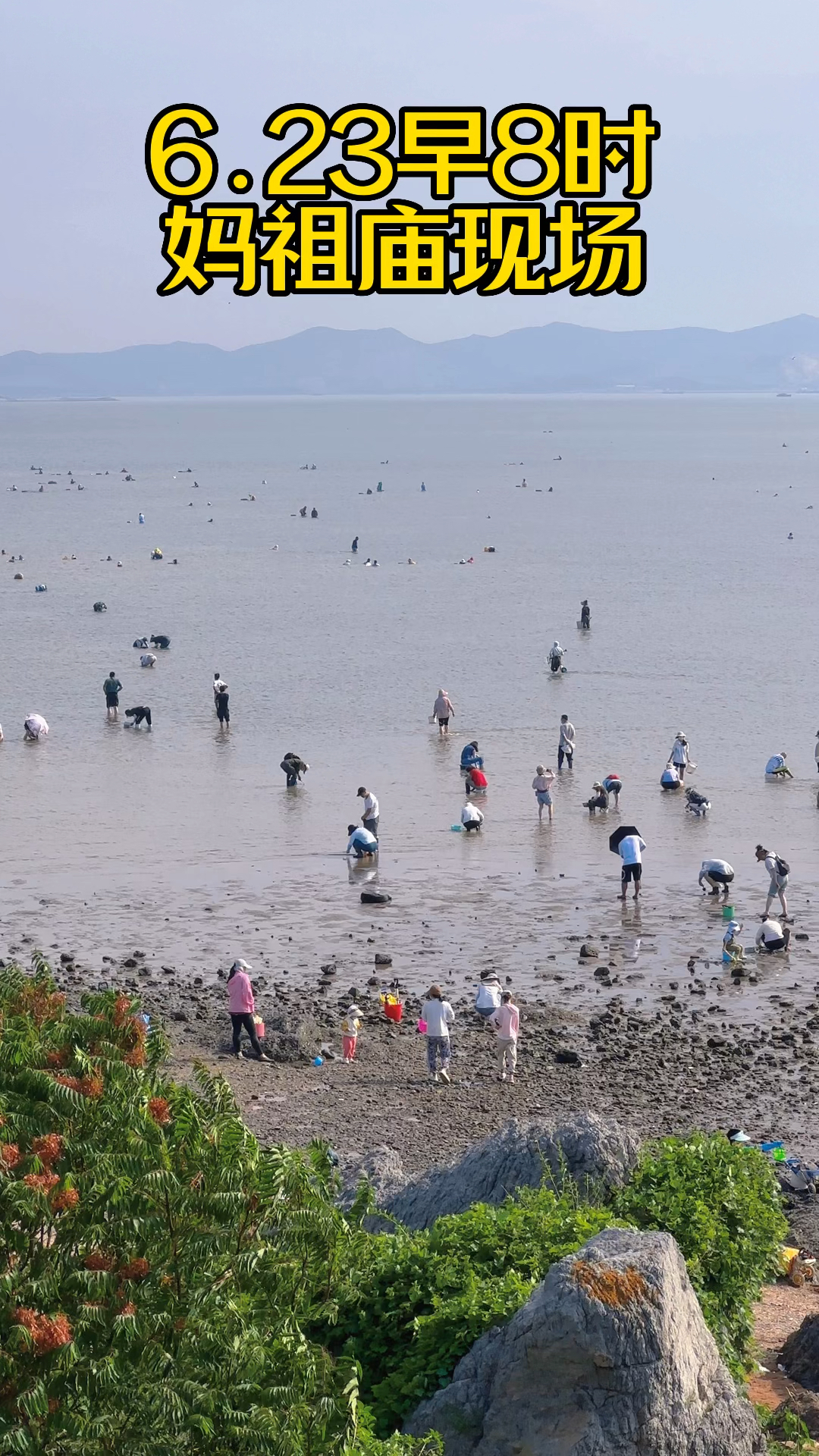 8点钟的妈祖庙,已人满为患#赶海 #同城发现-度小视
