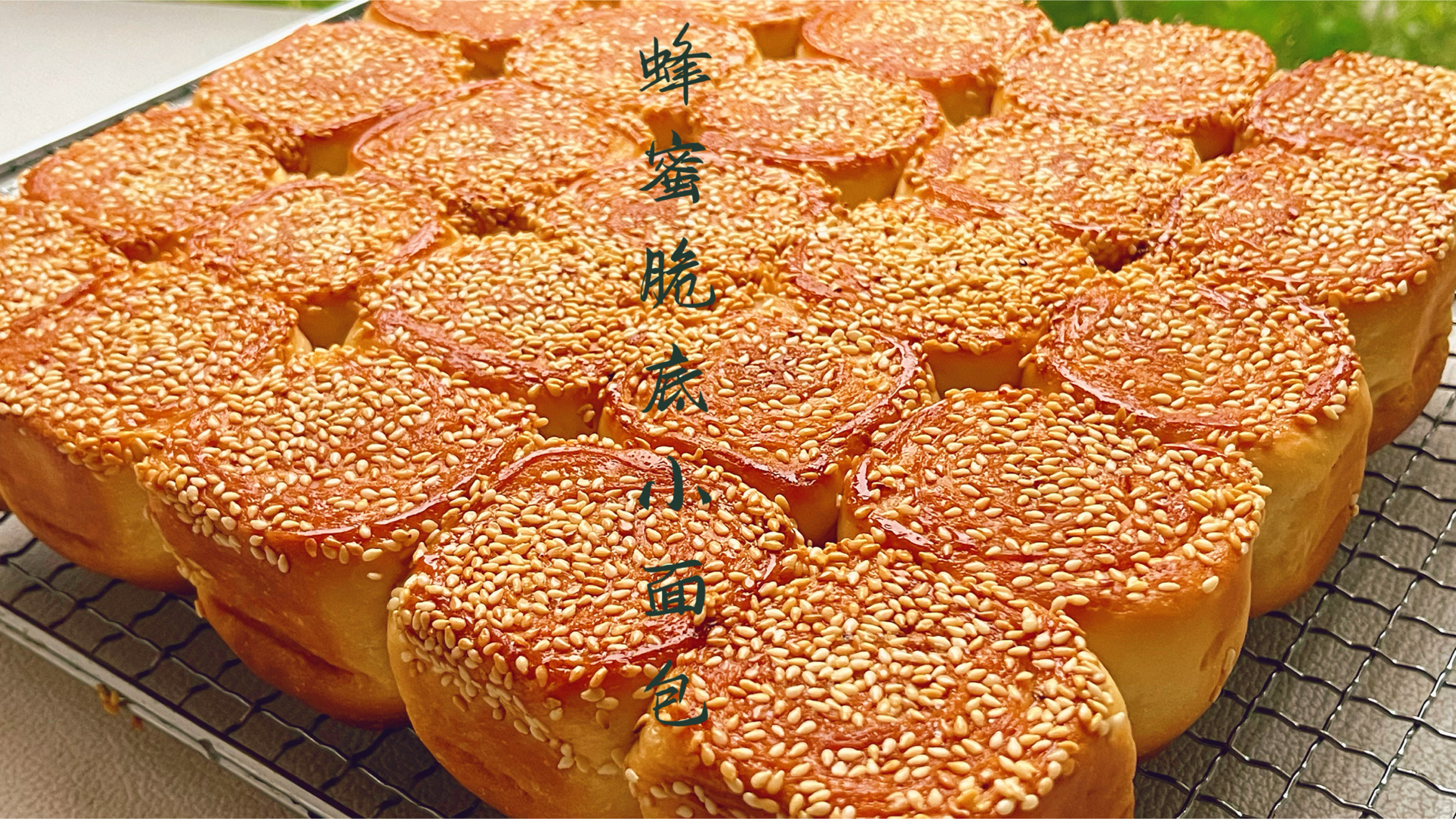 经典配方蜂蜜脆底小面包,外皮香甜酥脆里面松软拉丝,太好吃了