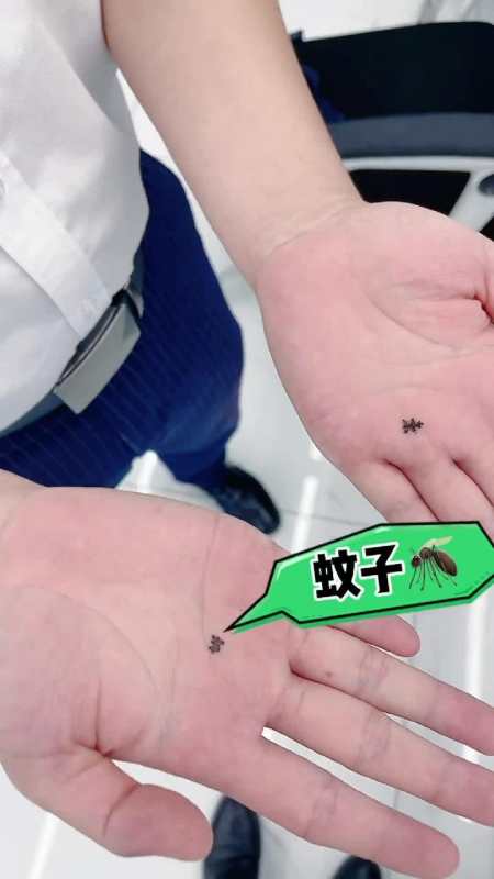 学会这样拍蚊子一拍一个准,学会了吗?作死