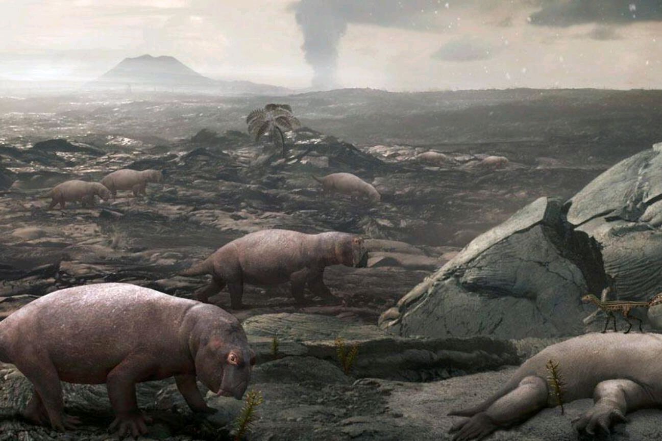 6500万年前恐龙灭绝,人类正在面临同样的问题!
