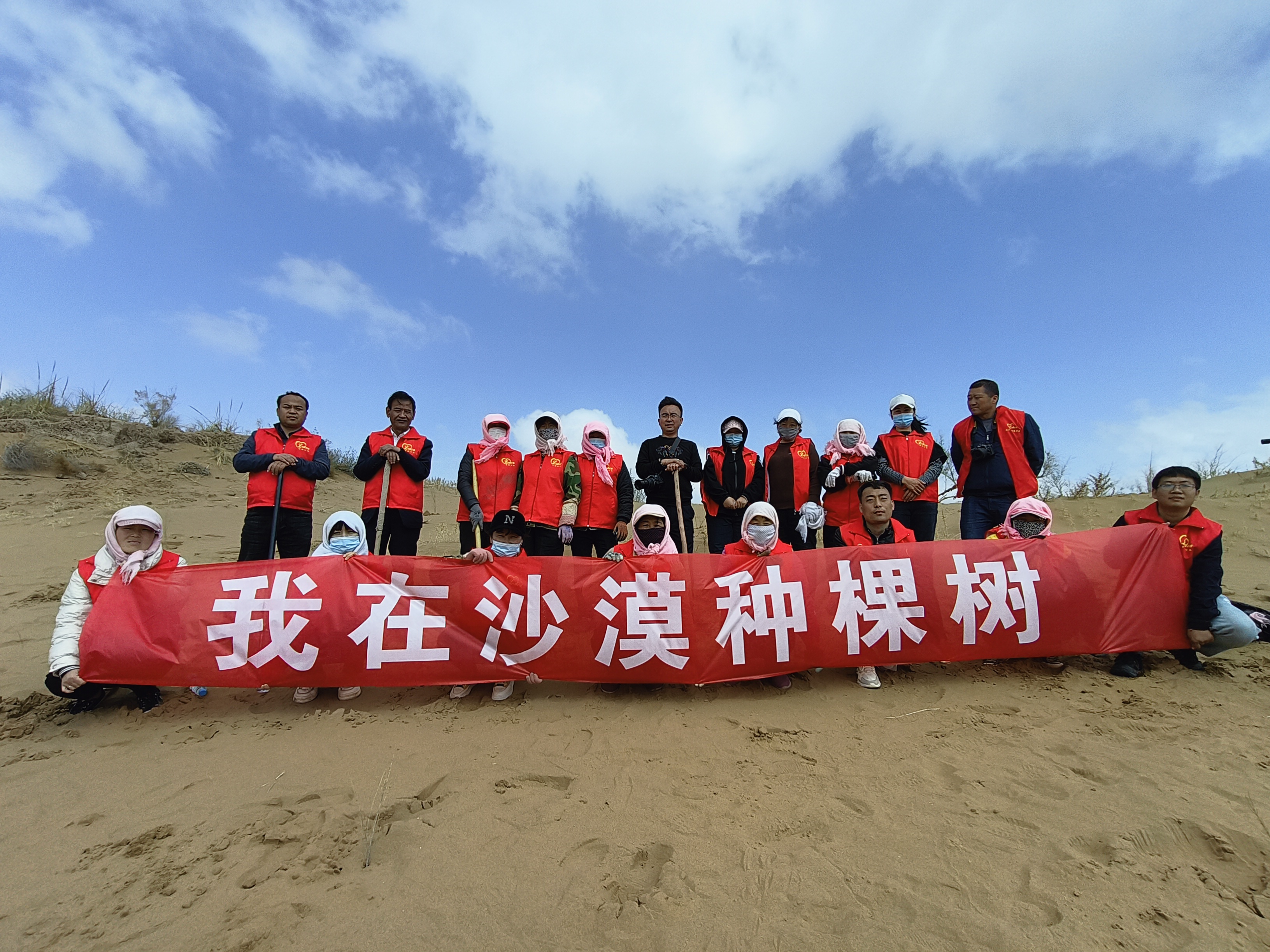 沙漠植树造林什么时候最好?