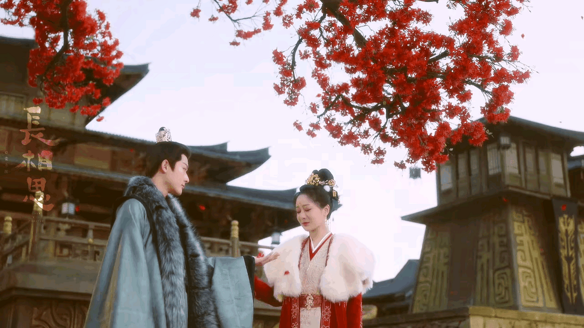 第二季辰荣馨悦两次刺杀小夭未果时小夭才知道玱玹是多么爱她,这份爱