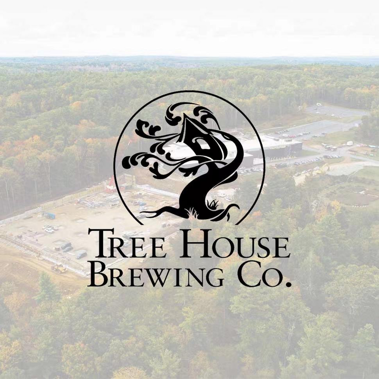 树屋啤酒 黄 在绿的基础上添加菠萝泥,耀眼的黄色酒 体,带有过熟菠萝