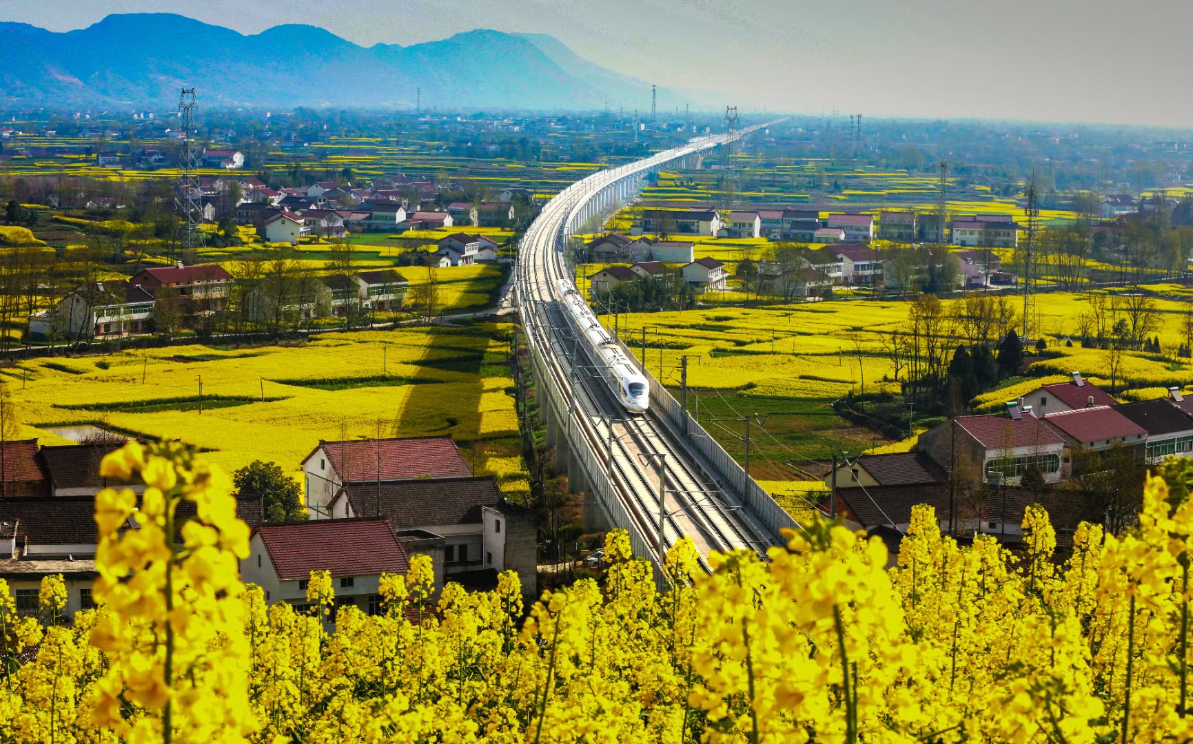 阳春四月风景