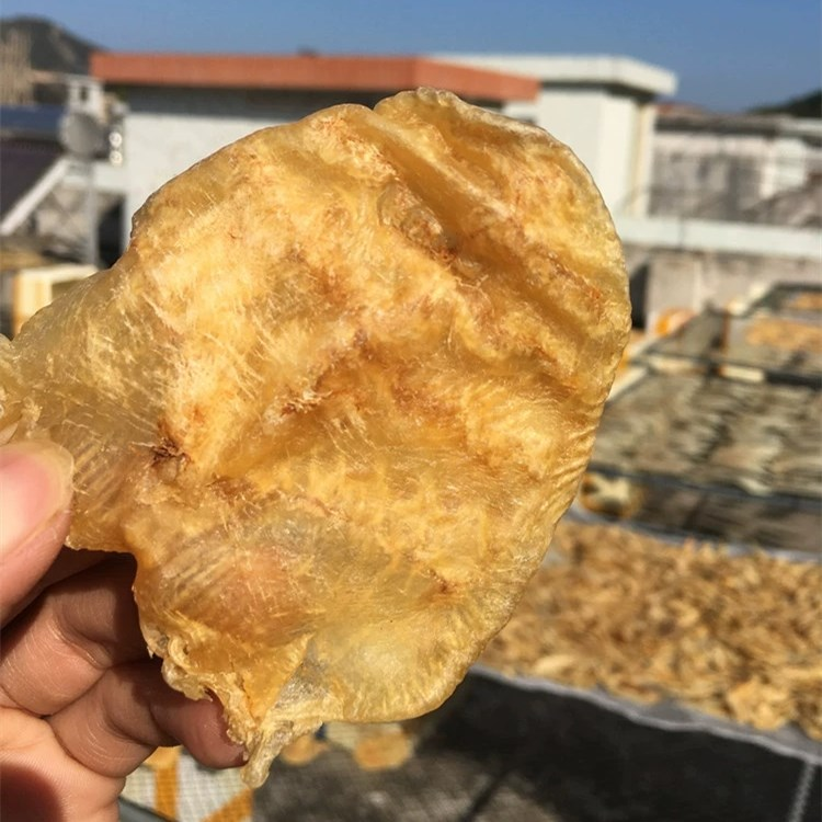 鱼鳔- 热门商品专区