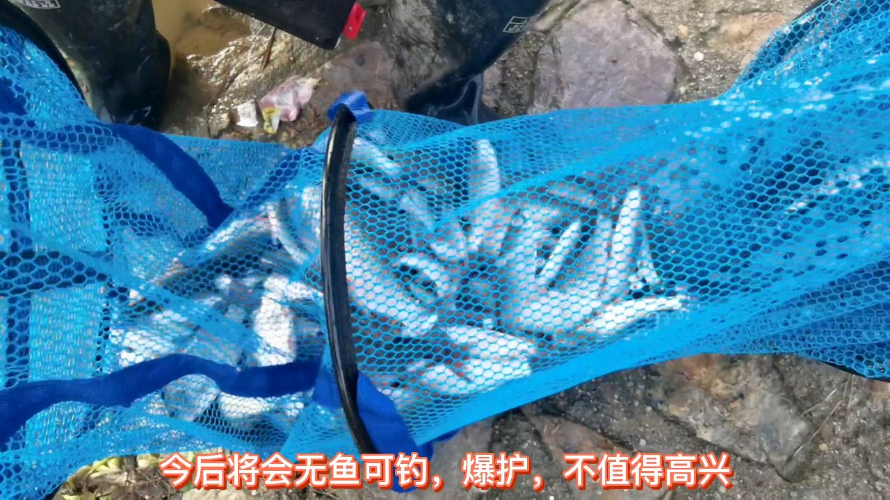 野钓:开平潭江夜钓网友质疑,解释如下,鱼获每次钓完放生