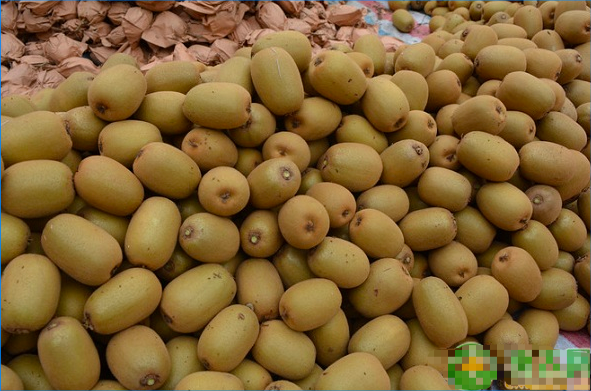 盘点江西省宜春市奉新县特产