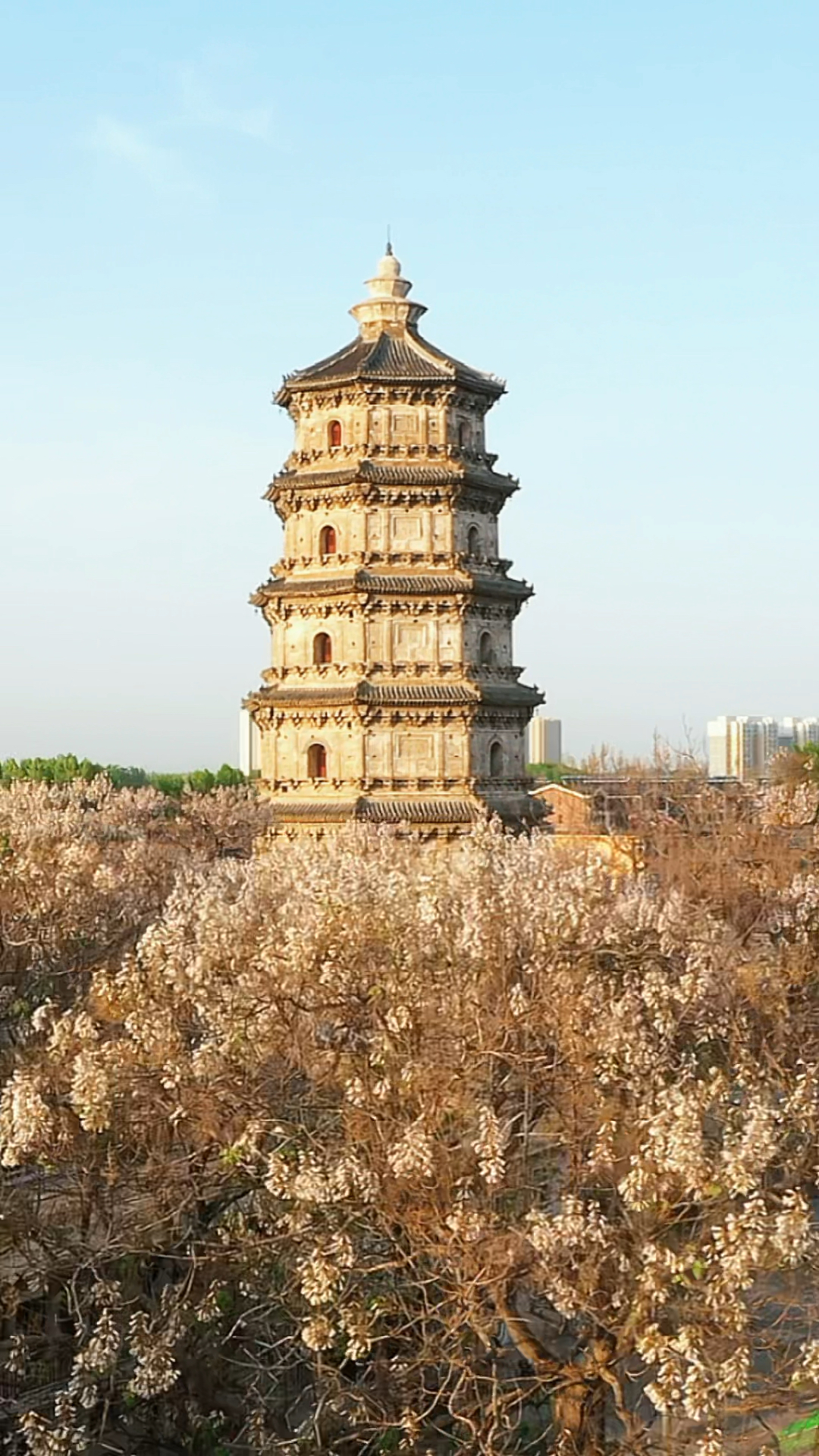 梧桐花映衬下的辽代古塔涿州双塔