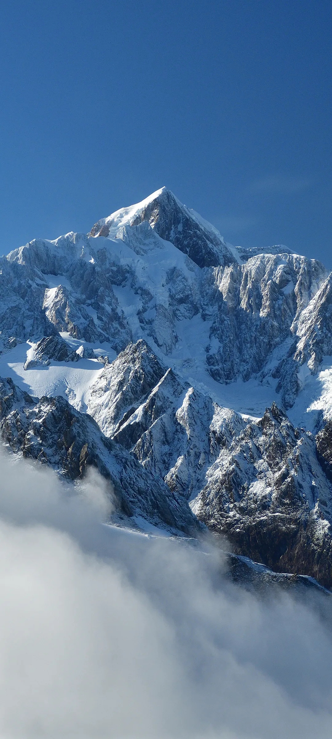 1080_2400竖版 竖屏