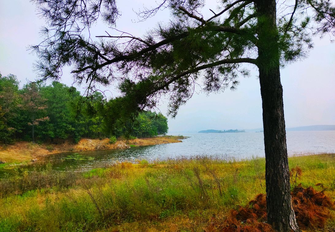 泌陽縣銅山湖溼地公園掠影