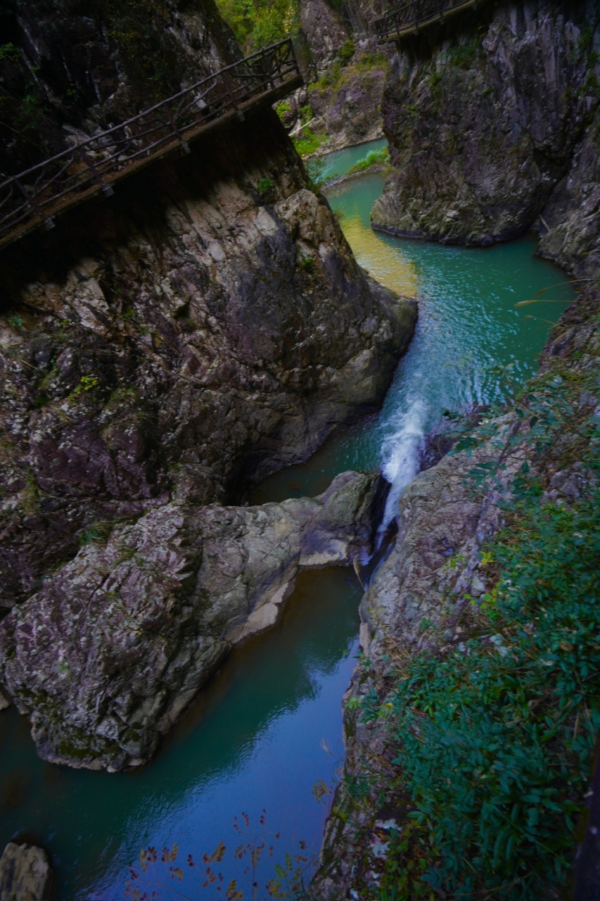这就是华东大峡谷,在雅阳承天村,长约10公里,谷底溪水清澈透亮,森林