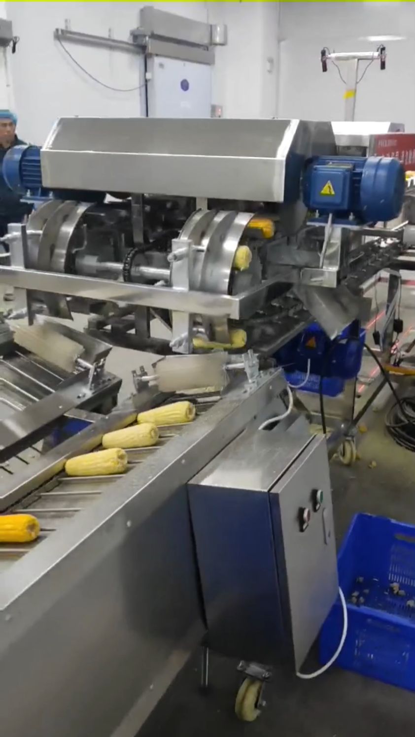 玉米分等机,玉米切头去尾机