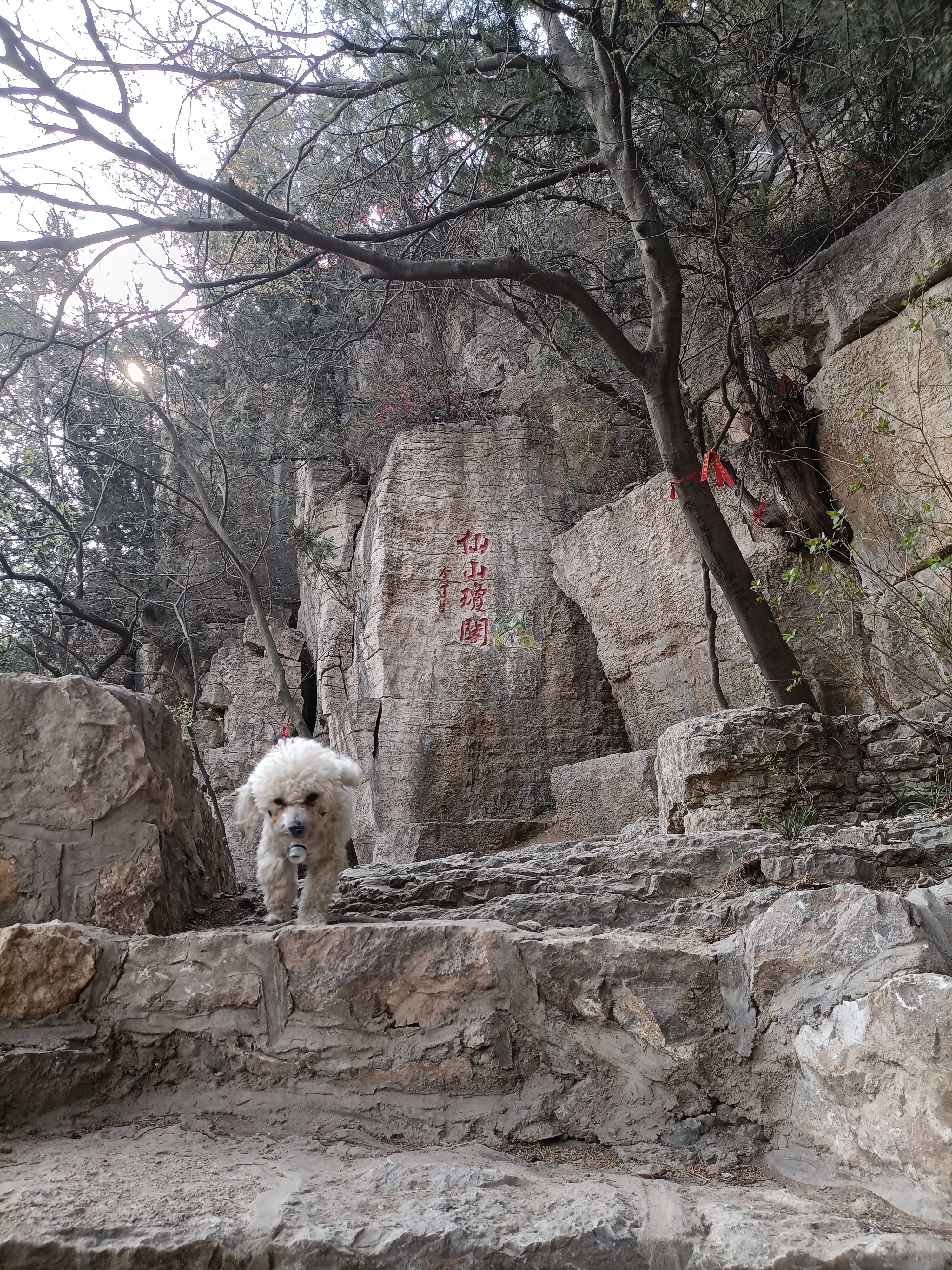 腊山森林公园图片