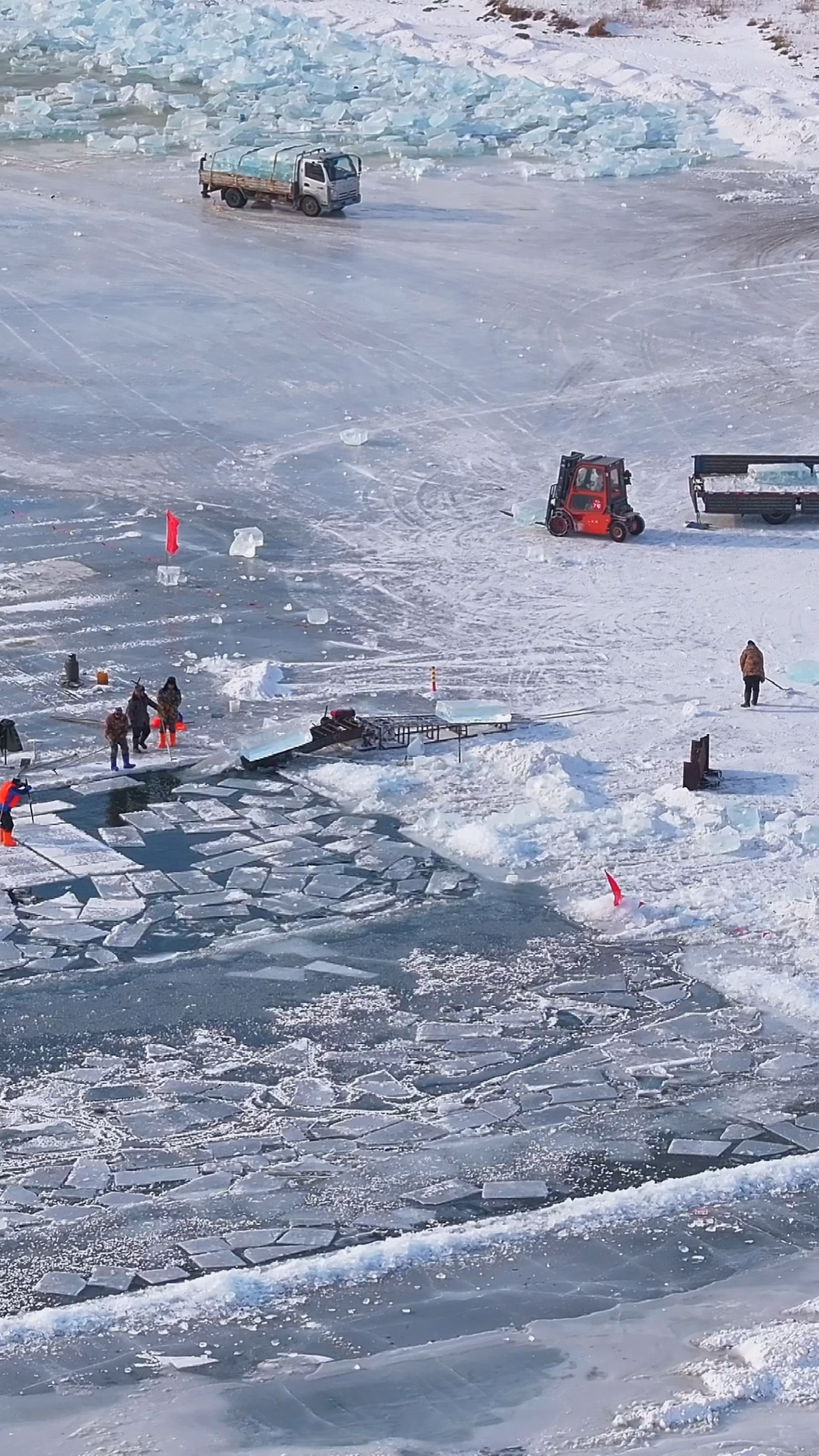 哈尔滨冰雪大世界 采冰 拉冰