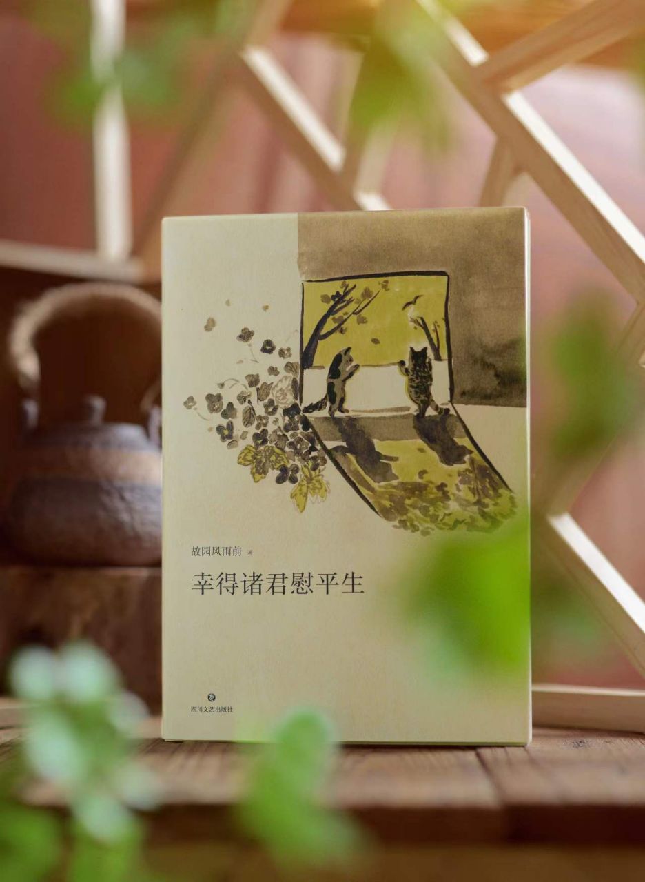 故园风雨前,本名杨云苏,原是中央电视台的一名编导,后因眷恋故乡成都