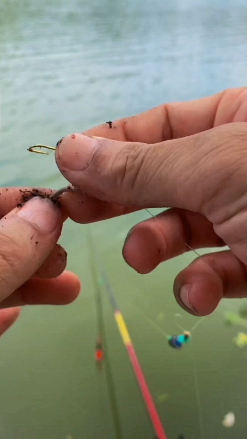 这样挂蚯蚓钓鱼,有谁用过