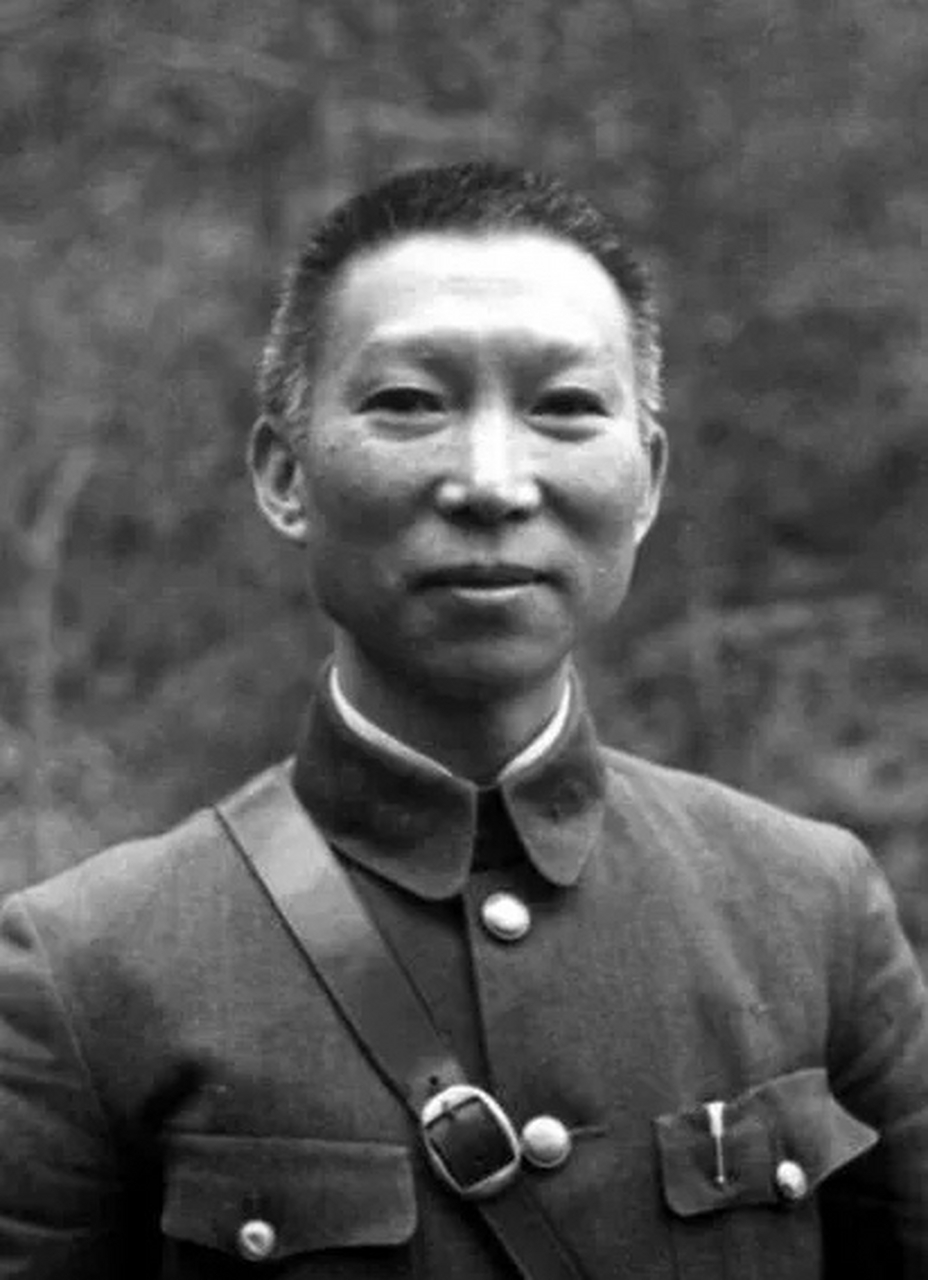 "我杀了十万日本人",1993年,97岁的薛岳被告上法庭,面对法官的询问他