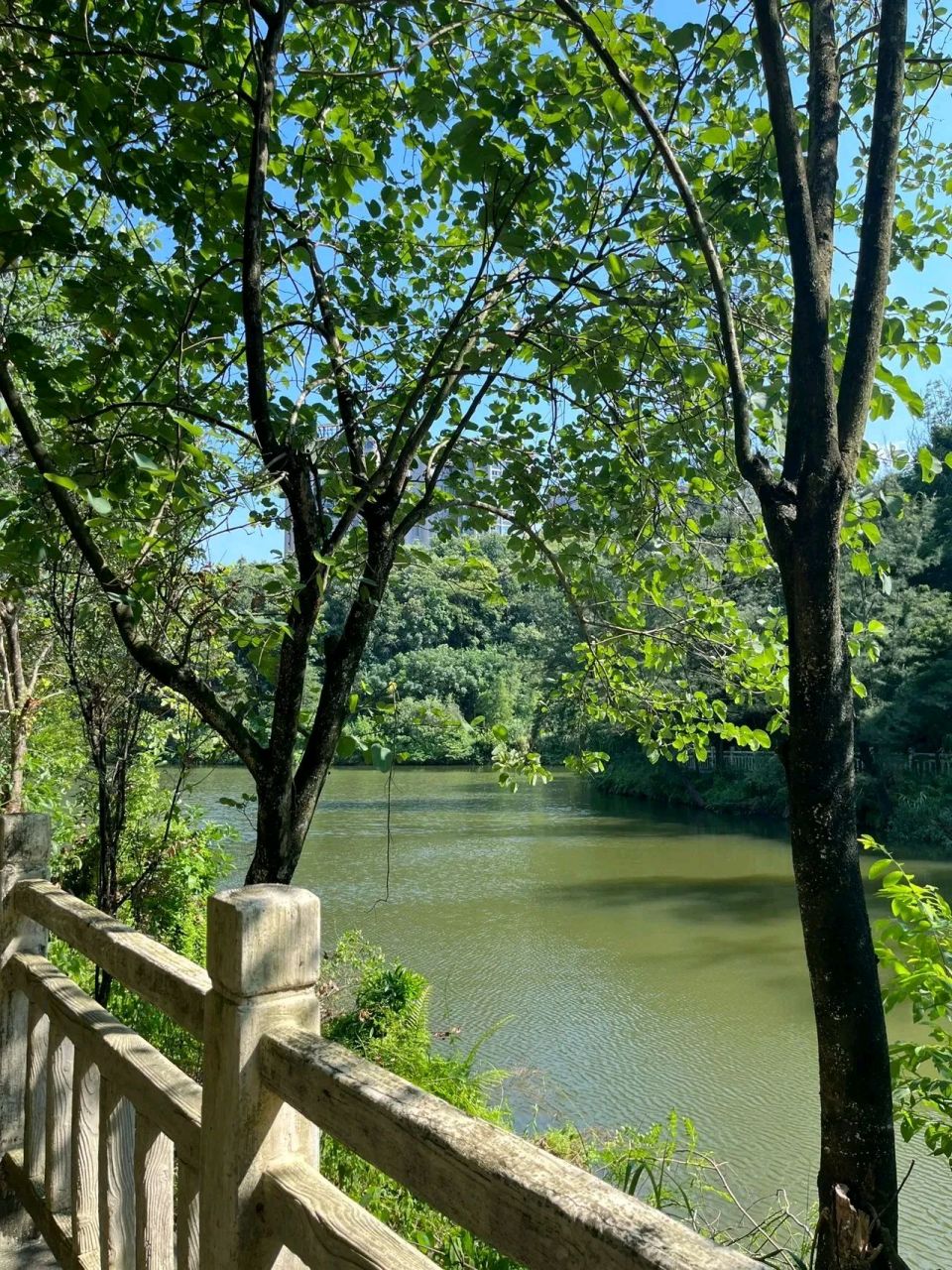 周末好去处—浔峰山生态公园 环湖散步吸氧 上周末打卡浔峰山生态公园