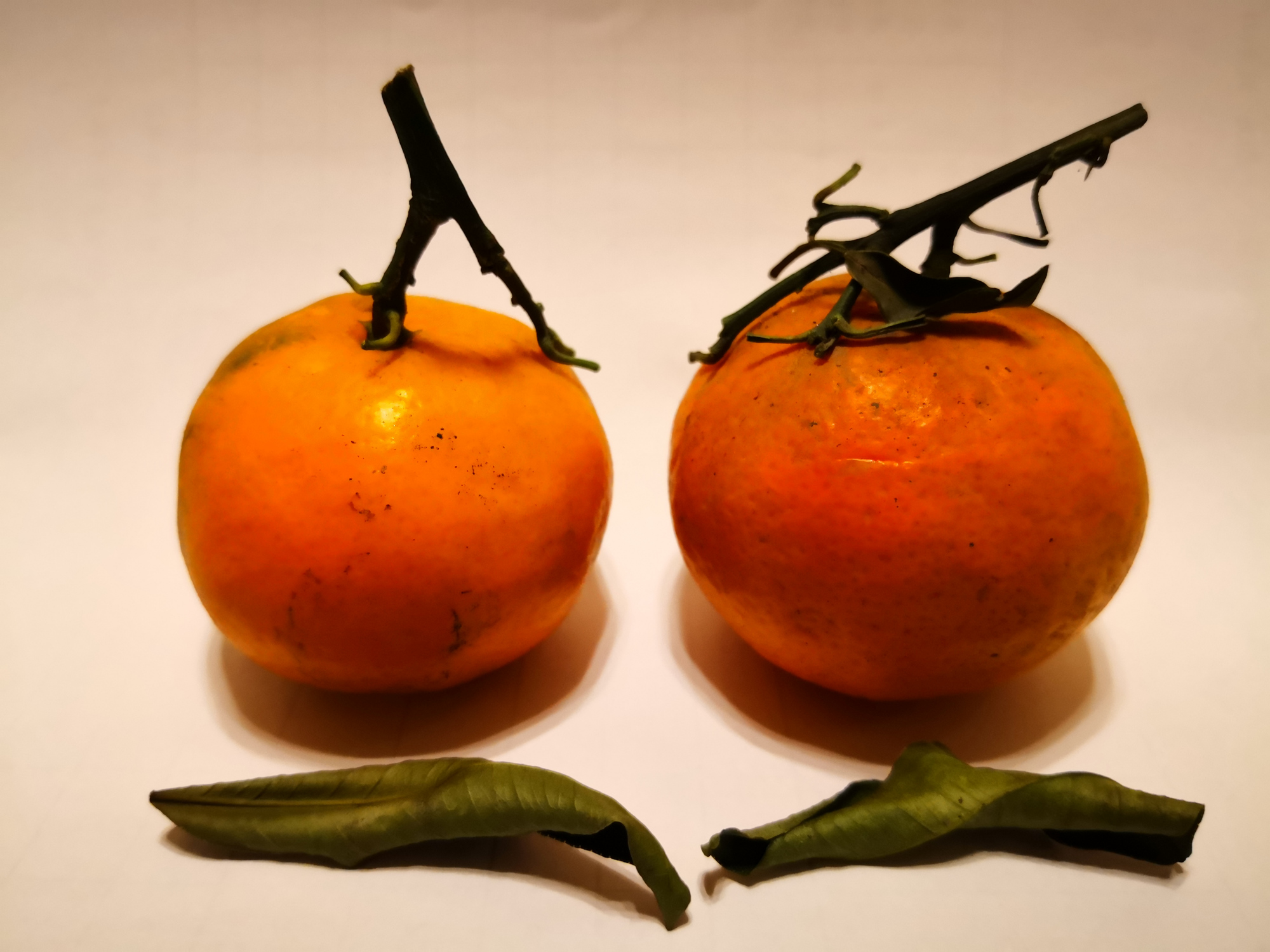 橘子专属颜色,创意图